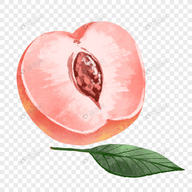 51黑料下载APP应用